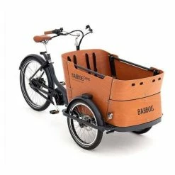 Babboe Curve Mountain