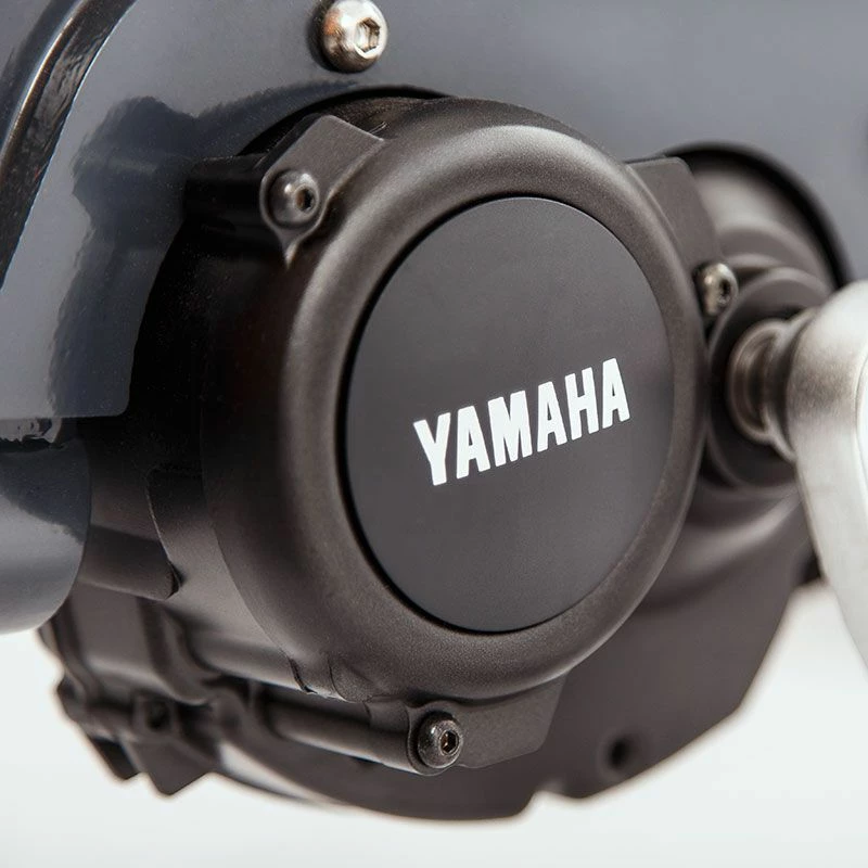 Babboe Flow Mountain 4 Babboe Flow Mountain – Image 2