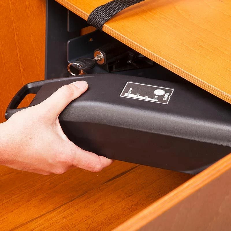 Babboe Flow Mountain 5 Babboe Flow Mountain – Image 3