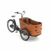 Babboe Go Mountain -Pas Cher VÉLO ÉLECTRIQUE Magasin triporteur electrique babboe mountain
